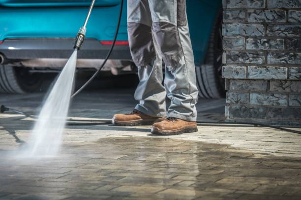 Best Soft Washing  in Ocoee, FL