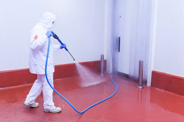 Best Graffiti Removal  in Ocoee, FL