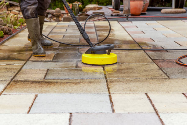 Best Animal Enclosure Cleaning  in Ocoee, FL